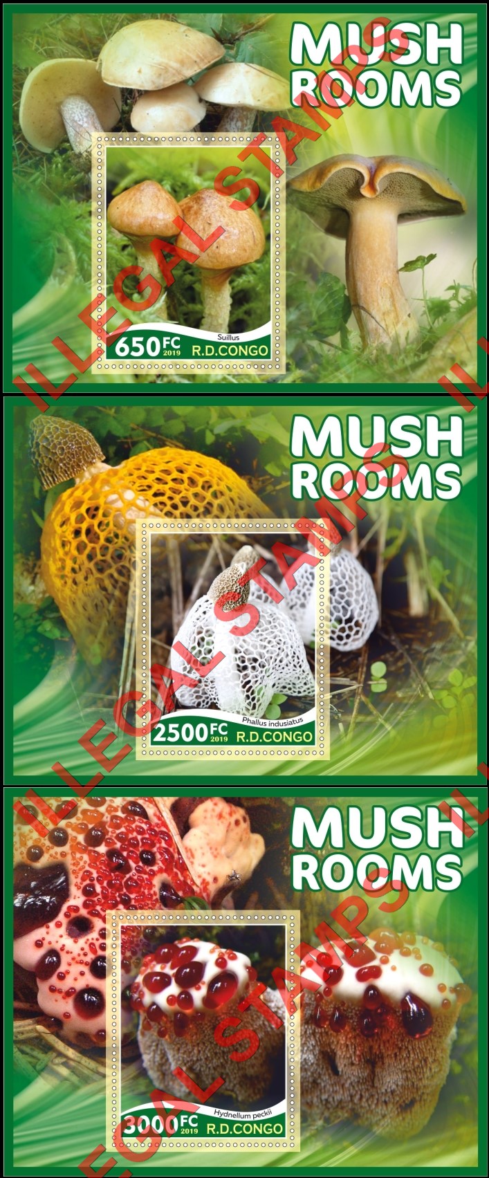 Congo Democratic Republic 2019 Mushrooms Illegal Stamp Souvenir Sheets of 1 (Part 2)