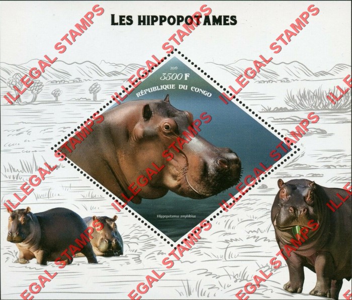 Congo Republic 2019 Hippopotamus Illegal Stamp Souvenir Sheet of 1