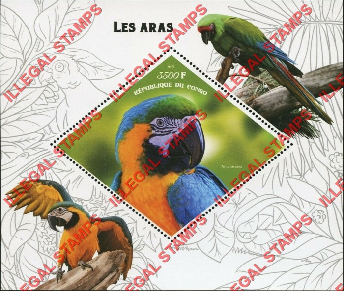 Congo Republic 2019 Parrots Illegal Stamp Souvenir Sheet of 1
