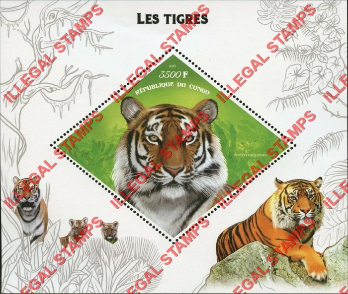 Congo Republic 2019 Tigers Illegal Stamp Souvenir Sheet of 1