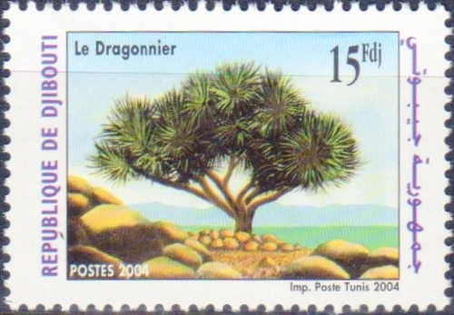 Djibouti 2004 Dragon Tree Scott 834