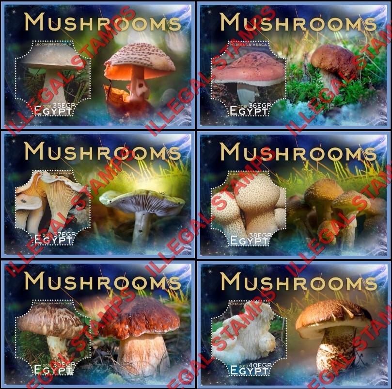 Egypt 2018 Mushrooms Illegal Stamp Souvenir Sheets of 1