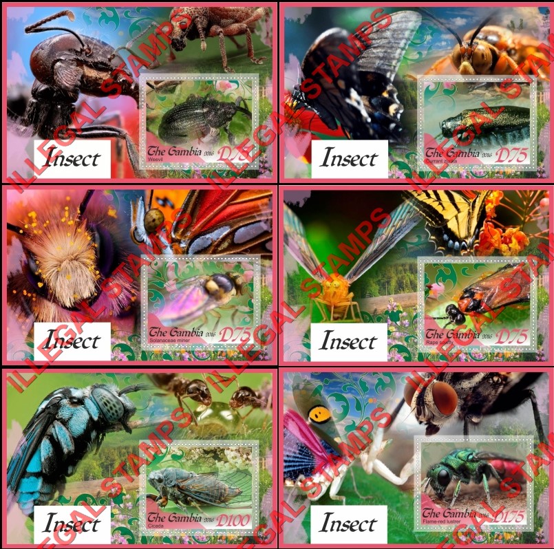 Gambia 2016 Insects Illegal Stamp Souvenir Sheets of 1
