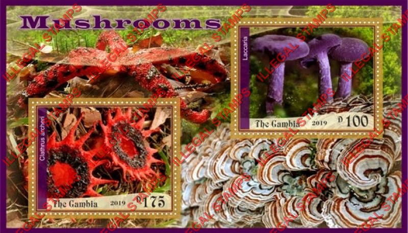 Gambia 2019 Mushrooms (second different) Illegal Stamp Souvenir Sheet of 2