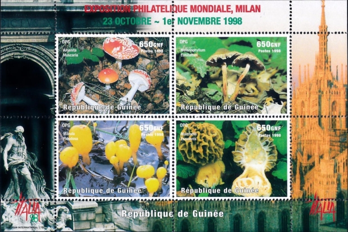 Guinea Republic 1998 Mushrooms Stamp Souvenir Sheet of 4 Michel Catalog No. BL545, Yvert Catalog No. 1252-1255