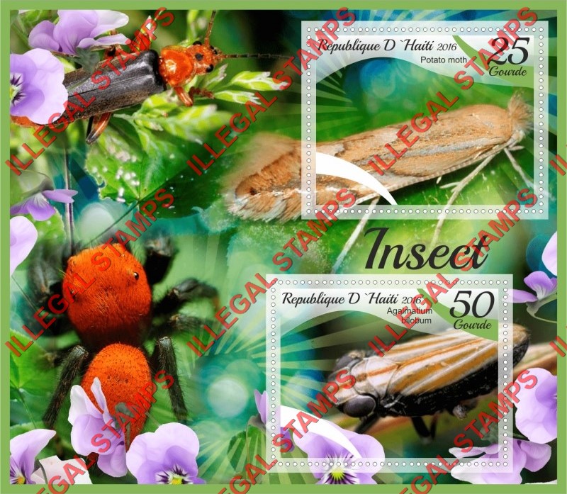 Haiti 2016 Insects Illegal Stamp Souvenir Sheet of 2
