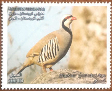 Kurdistan 2015 Birds Chukar Partridge Stamp