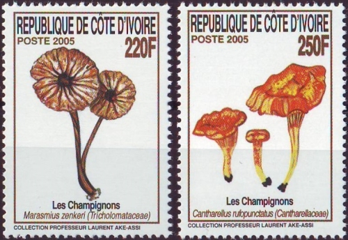 Ivory Coast 2005 Mushrooms of the Ivory Coast Scott 1168-1169