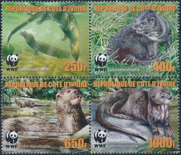 Ivory Coast 2005 WWF Otters