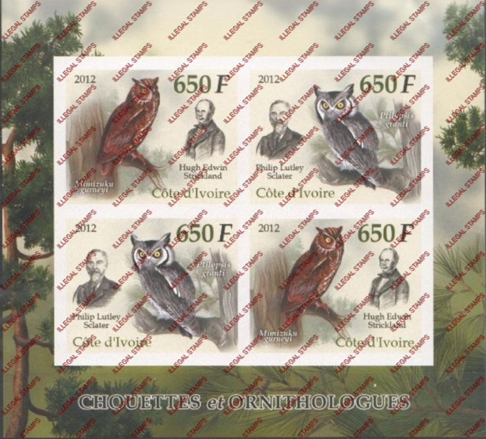 Ivory Coast 2012 Owls Illegal Stamp Souvenir Sheet of 4