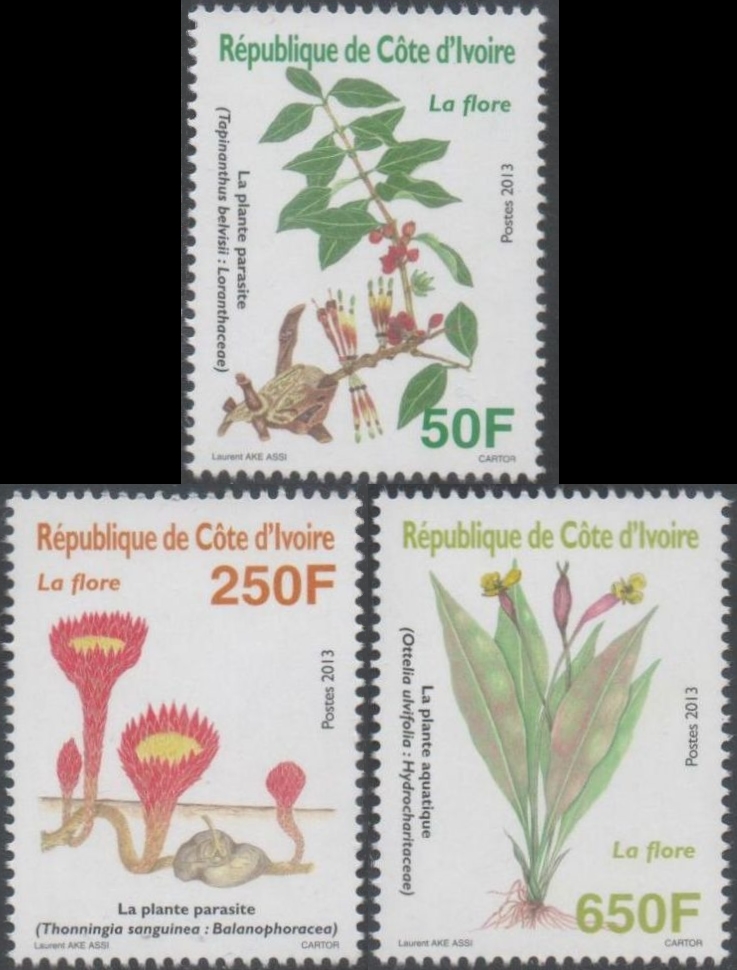 Ivory Coast 2013 Flora Parasitic and Aquatic Plants Scott 1193-1195