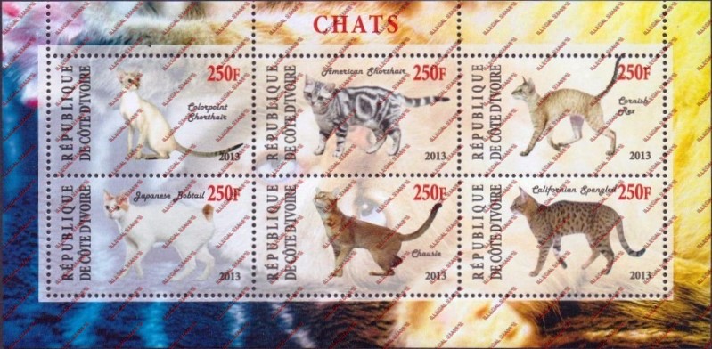 Ivory Coast 2013 Cats Illegal Stamp Sheetlet of 6