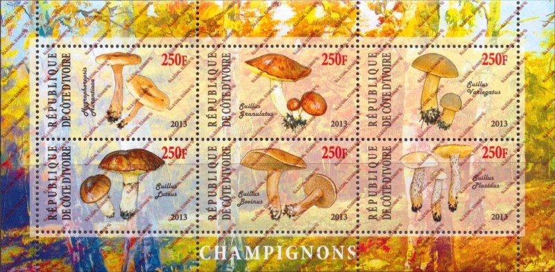 Ivory Coast 2013 Mushrooms Illegal Stamp Sheetlet of 6