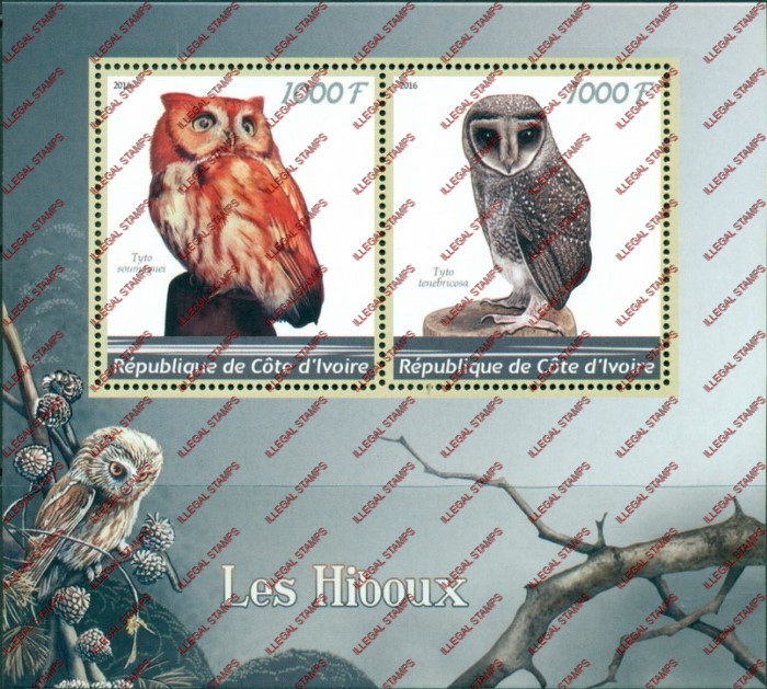 Ivory Coast 2016 Owls Illegal Stamp Souvenir Sheet of 2