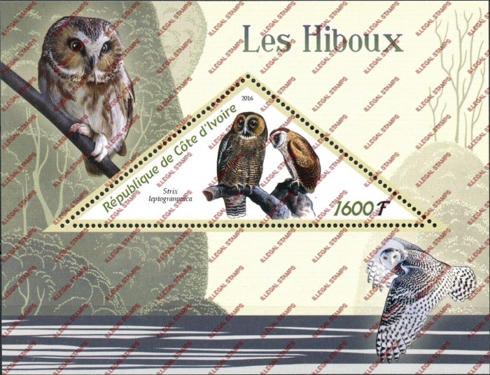 Ivory Coast 2016 Owls Illegal Stamp Souvenir Sheet of 1