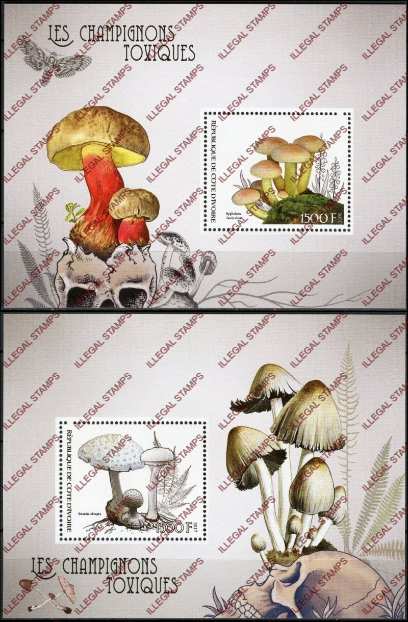 Ivory Coast 2017 Mushrooms Toxic Illegal Stamp Souvenir Sheets of 1