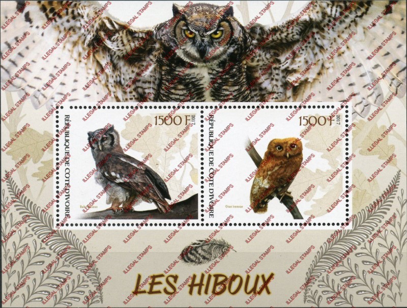 Ivory Coast 2017 Owls Illegal Stamp Souvenir Sheet of 2