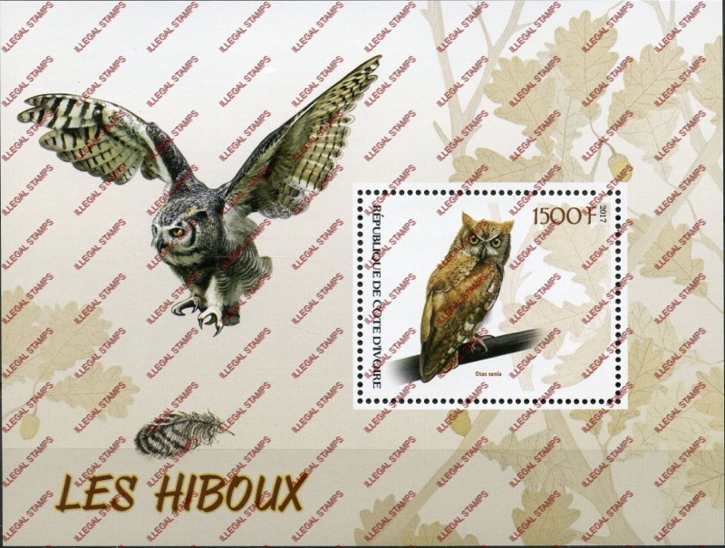 Ivory Coast 2017 Owls Illegal Stamp Souvenir Sheet of 1