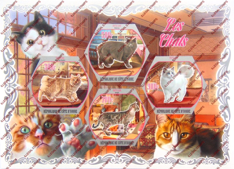 Ivory Coast 2018 Cats Illegal Stamp Souvenir Sheet of 4
