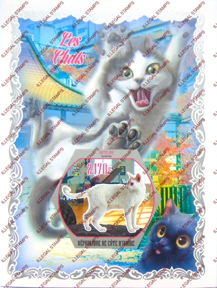 Ivory Coast 2018 Cats Illegal Stamp Souvenir Sheet of 1