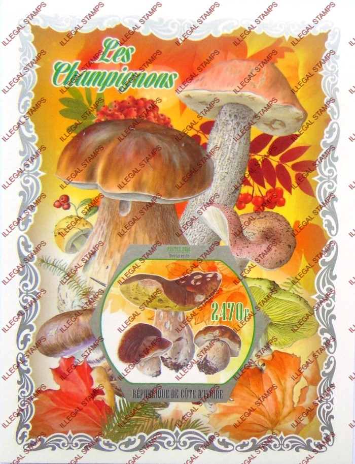 Ivory Coast 2018 Mushrooms Illegal Stamp Souvenir Sheet of 1