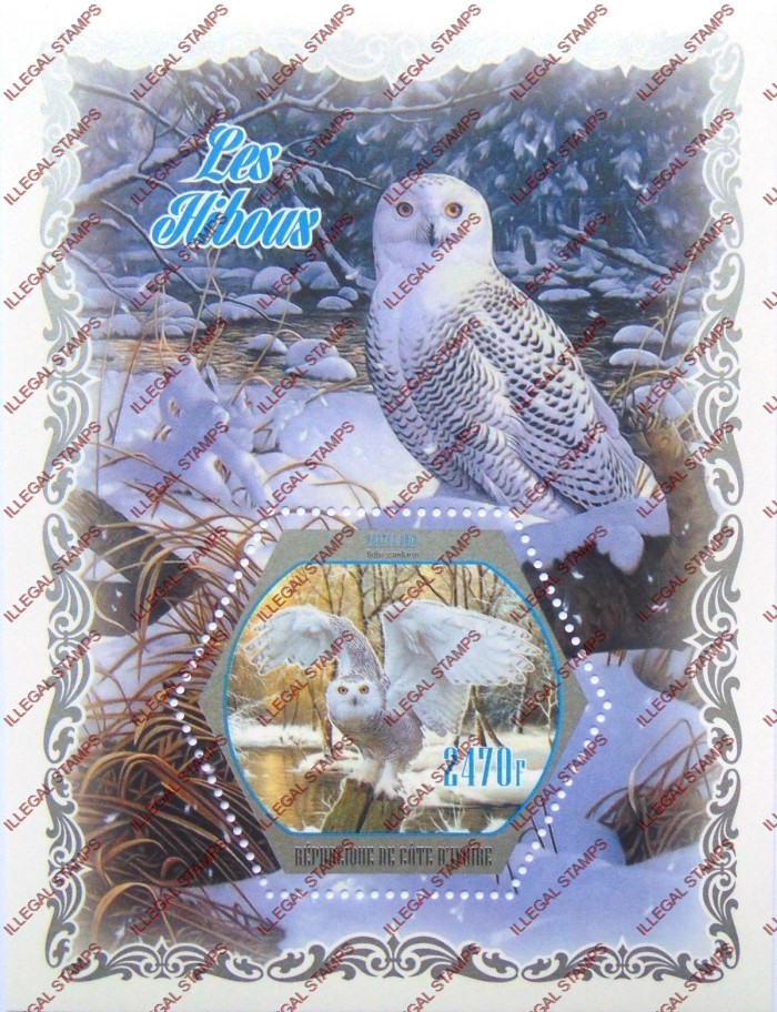 Ivory Coast 2018 Owls Illegal Stamp Souvenir Sheet of 1