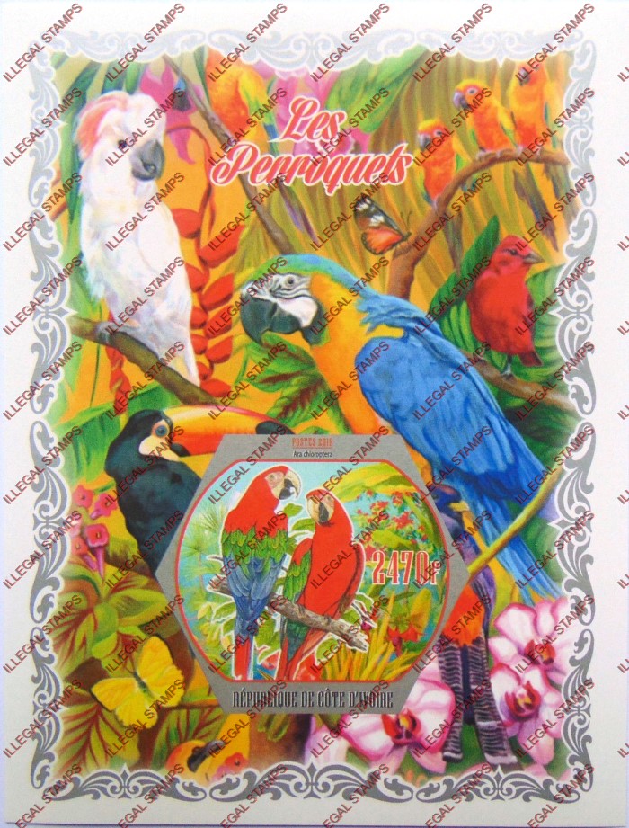 Ivory Coast 2018 Parrots Illegal Stamp Souvenir Sheet of 1