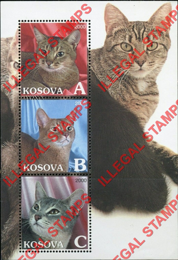 Kosovo 2000 Inscribed Kosova Cats Counterfeit Illegal Stamp Souvenir Sheet of 3