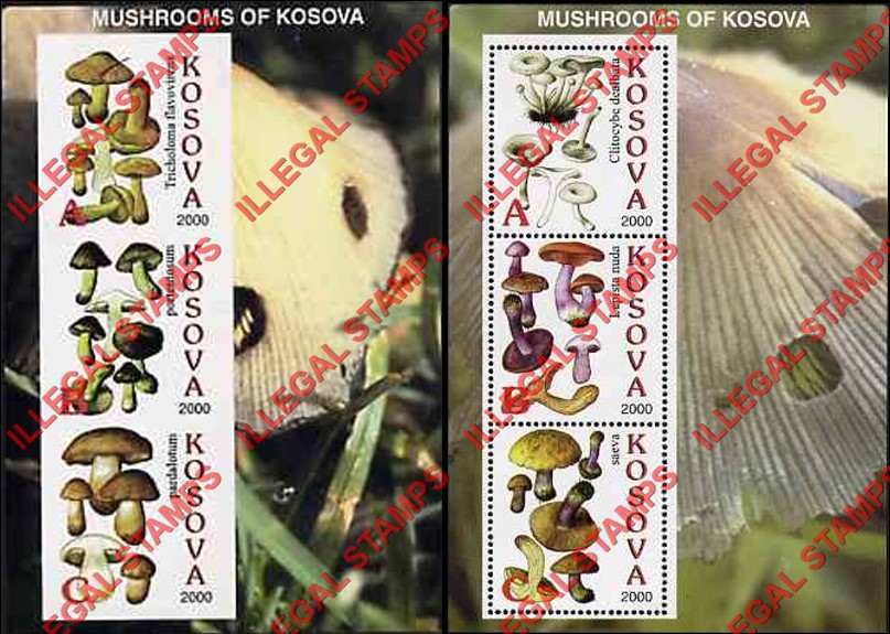 Kosovo 2000 Inscribed Kosova Mushrooms Counterfeit Illegal Stamp Souvenir Sheets of 3