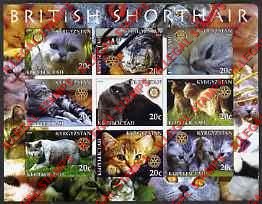 Kyrgyzstan 2004 Cats British Shorthair Illegal Stamp Sheetlet of Nine