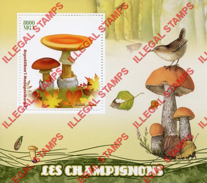 Madagascar 2017 Mushrooms Illegal Stamp Souvenir Sheet of 1