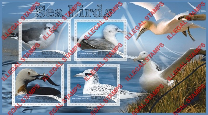 Madagascar 2017 Sea Birds Illegal Stamp Souvenir Sheet of 4