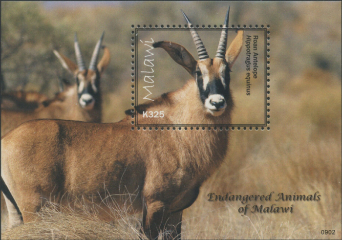 Malawi 2009 Endangered Animals of Malawi Antelope Scott 746