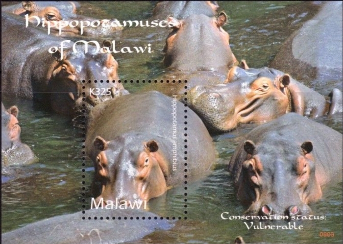 Malawi 2009 Hippopotamuses Souvenir Sheet of 1 Scott 748