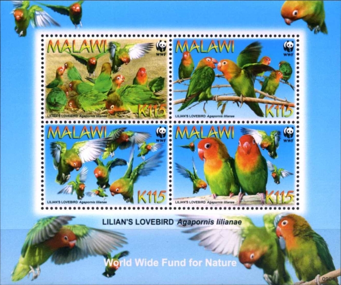 Malawi 2009 Lilian's Lovebirds WWF Scott 751