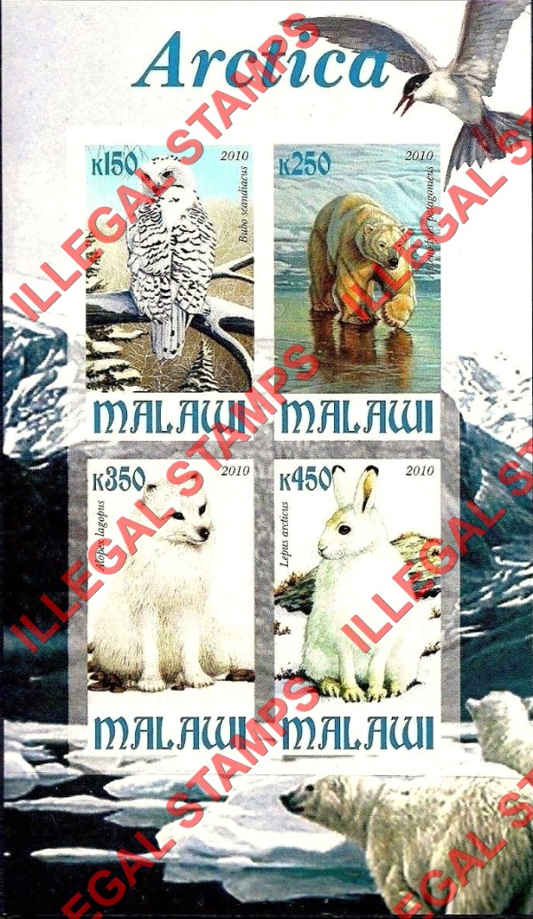 Malawi 2010 Arctic Animals Illegal Stamp Souvenir Sheet of 4