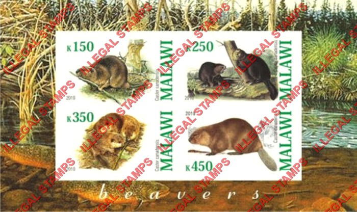 Malawi 2010 Beavers Illegal Stamp Souvenir Sheet of 4