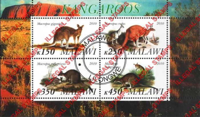 Malawi 2010 Kangaroos Illegal Stamp Souvenir Sheet of 4