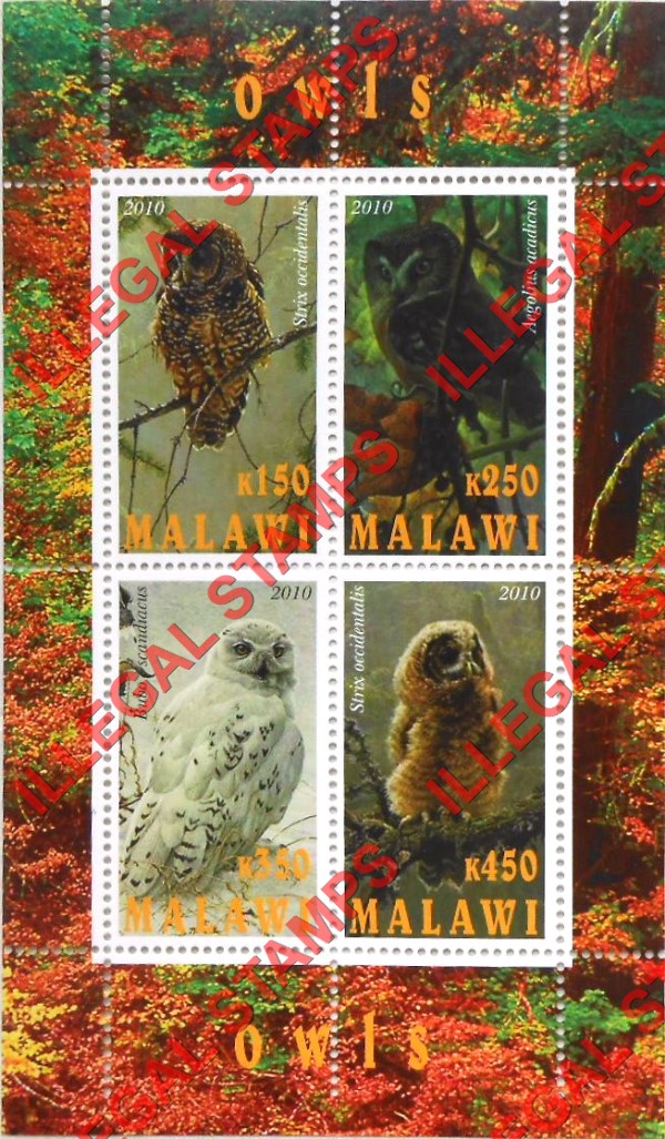 Malawi 2010 Owls Illegal Stamp Souvenir Sheet of 4