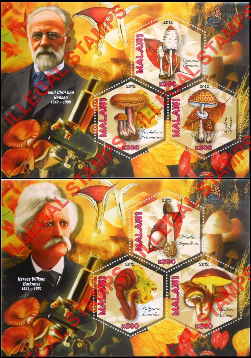 Malawi 2012 Mushrooms and Mycologists Illegal Stamp Souvenir Sheets of 3 (Part 2)