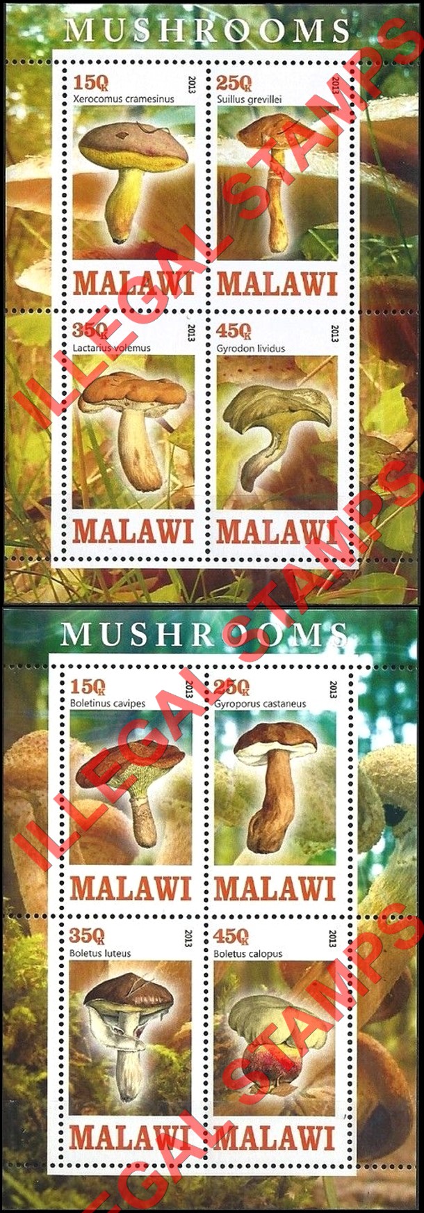 Malawi 2013 Mushrooms Illegal Stamp Souvenir Sheets of 4 (Part 2)
