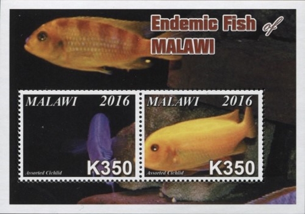 Malawi 2016 Endemic Fish of Malawi Souvenir Sheet of 2 Scott 806