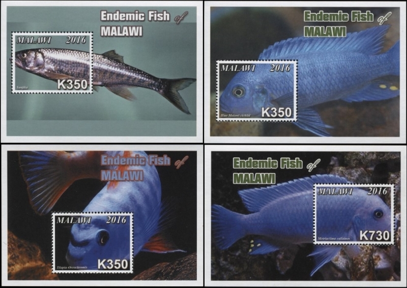 Malawi 2016 Endemic Fish of Malawi Souvenir Sheets of 1 Scott 807-810