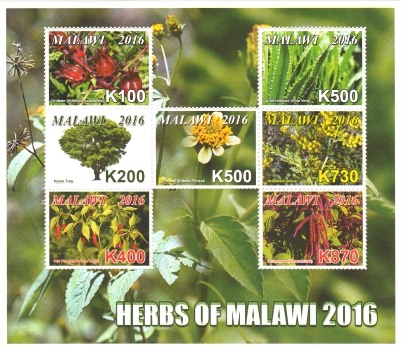 Malawi 2016 Herbs of Malawi Souvenir Sheet of 7 Scott 834