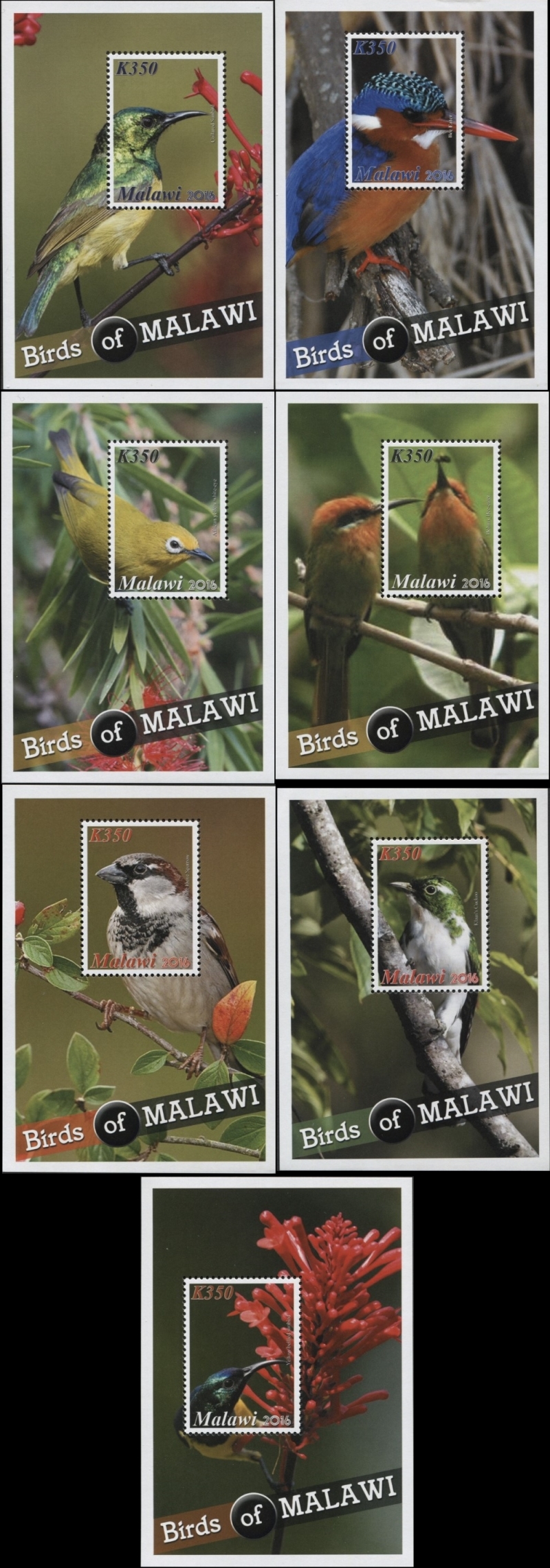 Malawi 2016 Indigenous Birds of Malawi Souvenir Sheets of 1 Scott 812-818