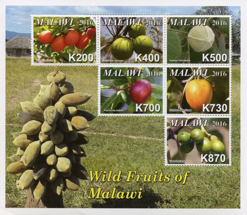 Malawi 2016 Wild Fruits of Malawi Souvenir Sheet of 6 Scott 819