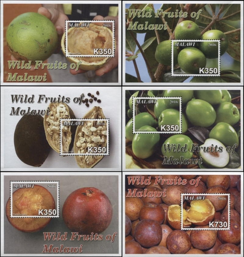 Malawi 2016 Wild Fruits of Malawi Souvenir Sheets of 1 Scott 820-825