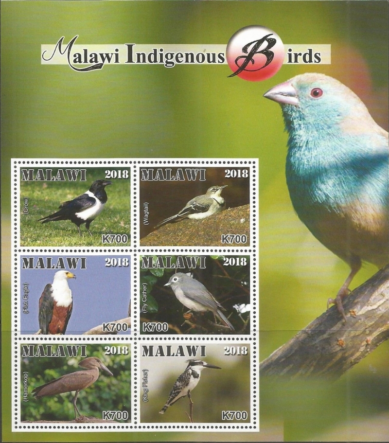 Malawi 2018 Indigenous Birds of Malawi Souvenir Sheet of 6