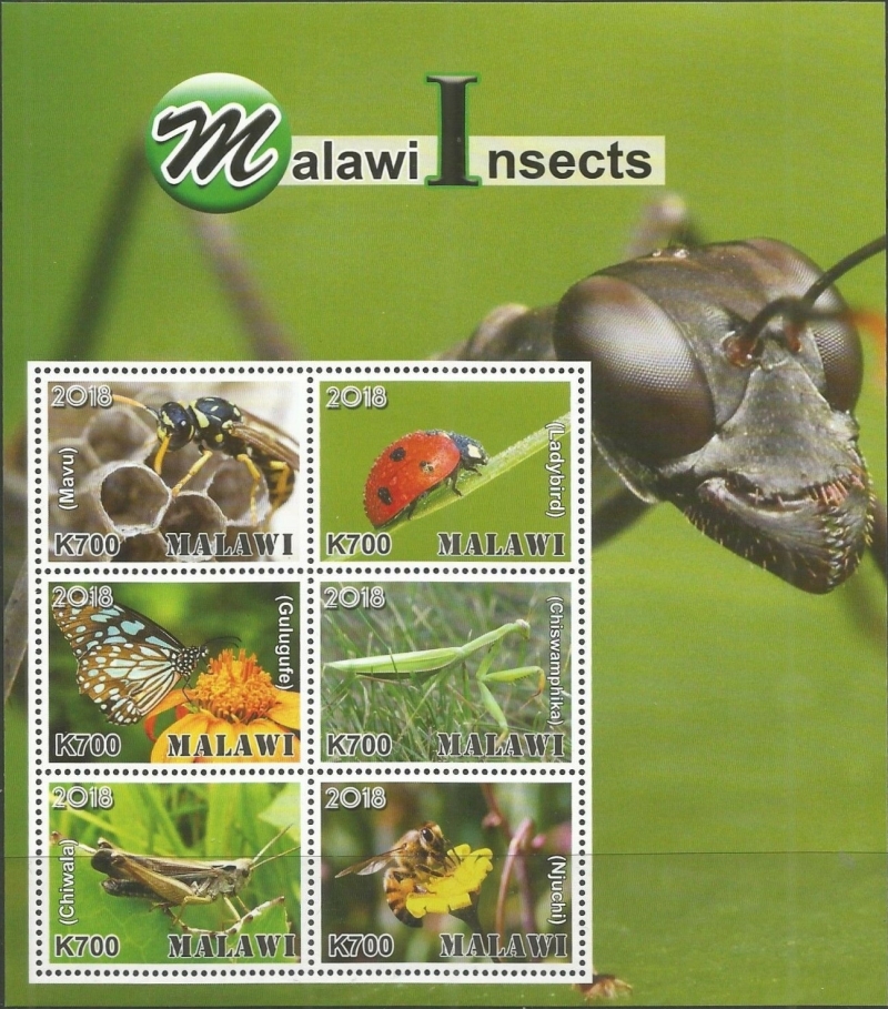 Malawi 2018 Insects of Malawi Souvenir Sheet of 6