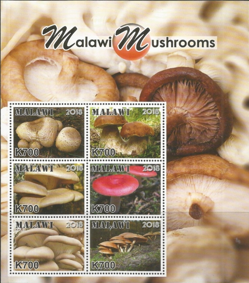 Malawi 2018 Mushrooms of Malawi Souvenir Sheet of 6